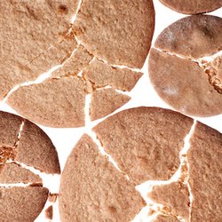 Galleta