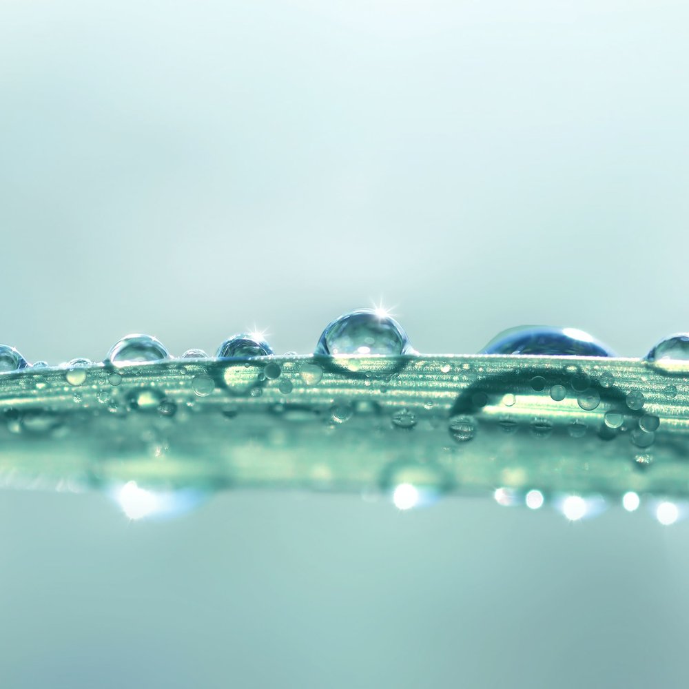 Gota de Rocío