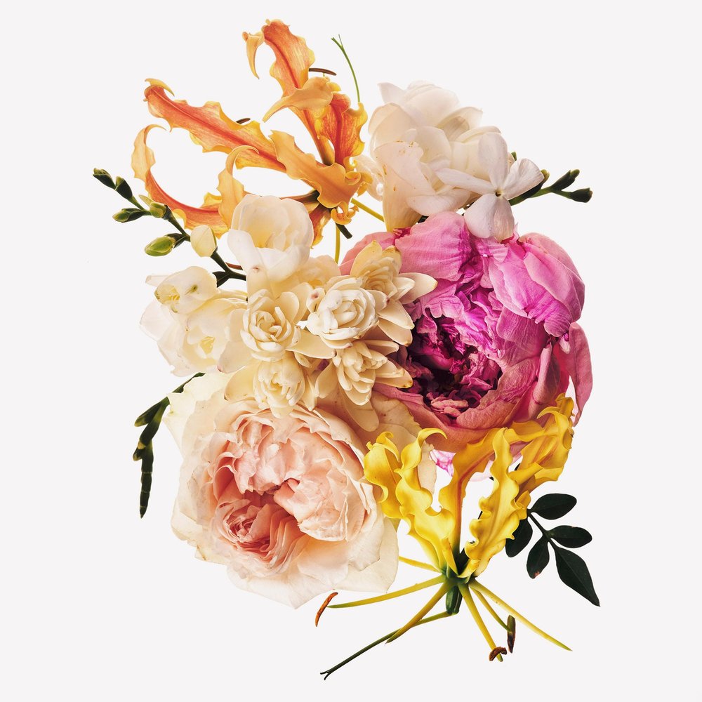 Notas florales