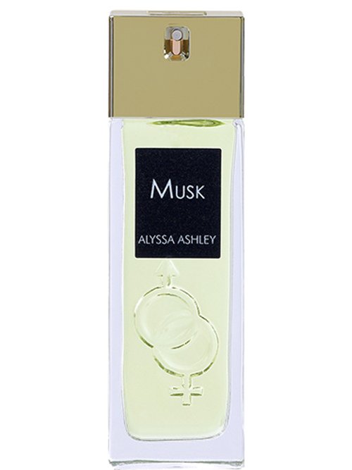 ALYSSA ASHLEY MUSK