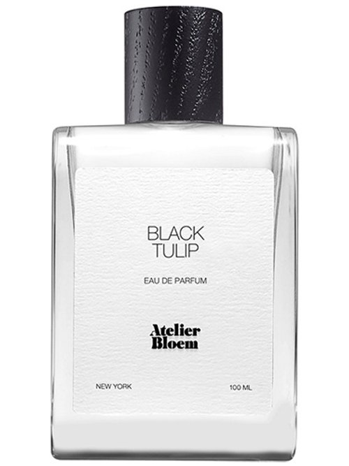 BLACK TULIP