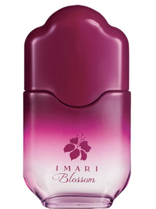 IMARI BLOSSOM