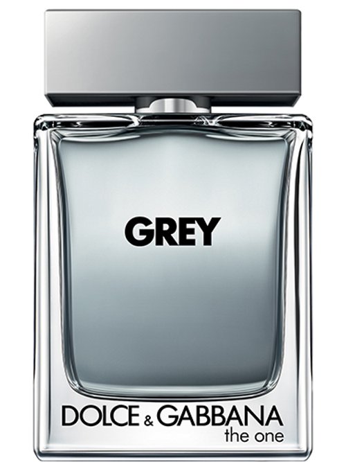 THE ONE FOR MEN GREY