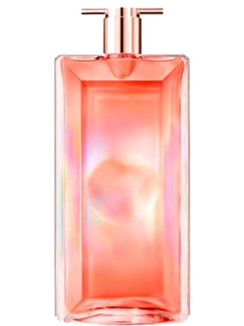 IDÔLE NECTAR