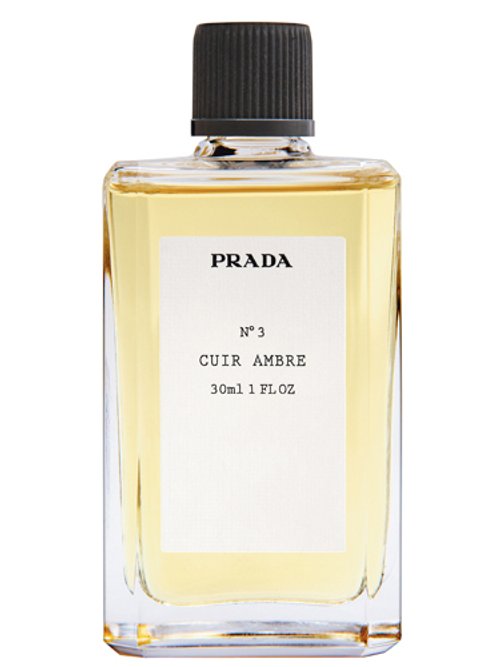 CUIR AMBRE Nº 3