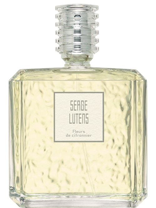FLEURS DE CITRONNIER